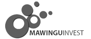 Mawingu Invest LTD logo